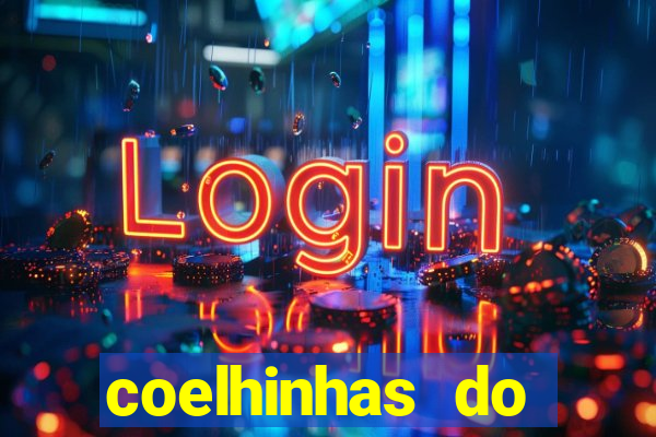 coelhinhas do brasil recife